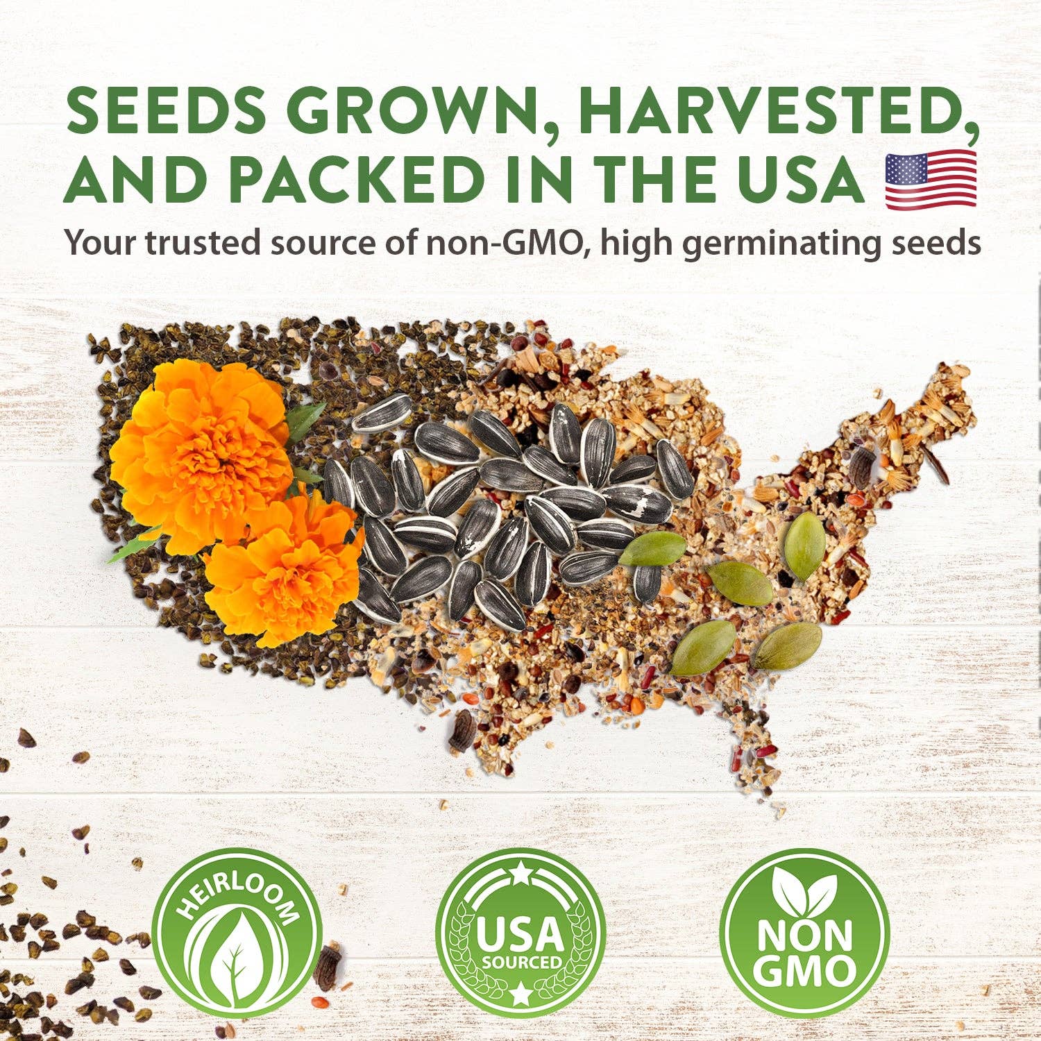 Homegrown Garden - Wholesale Plant Seeds - 10 Annual Flower Seeds Packets with Wildflower Seeds8