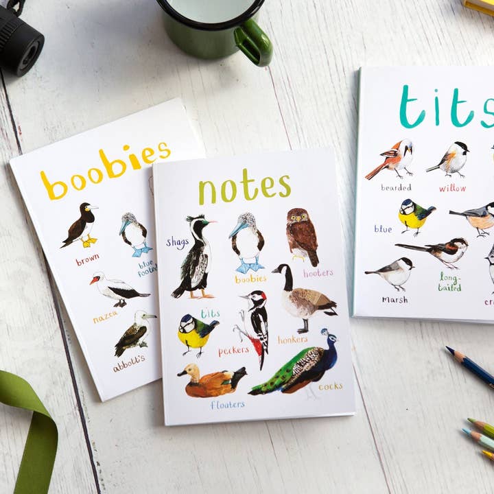 Sarah Edmonds Illustration – Caderno por atacado – Caderno de Pássaros Reciclado Titos A56