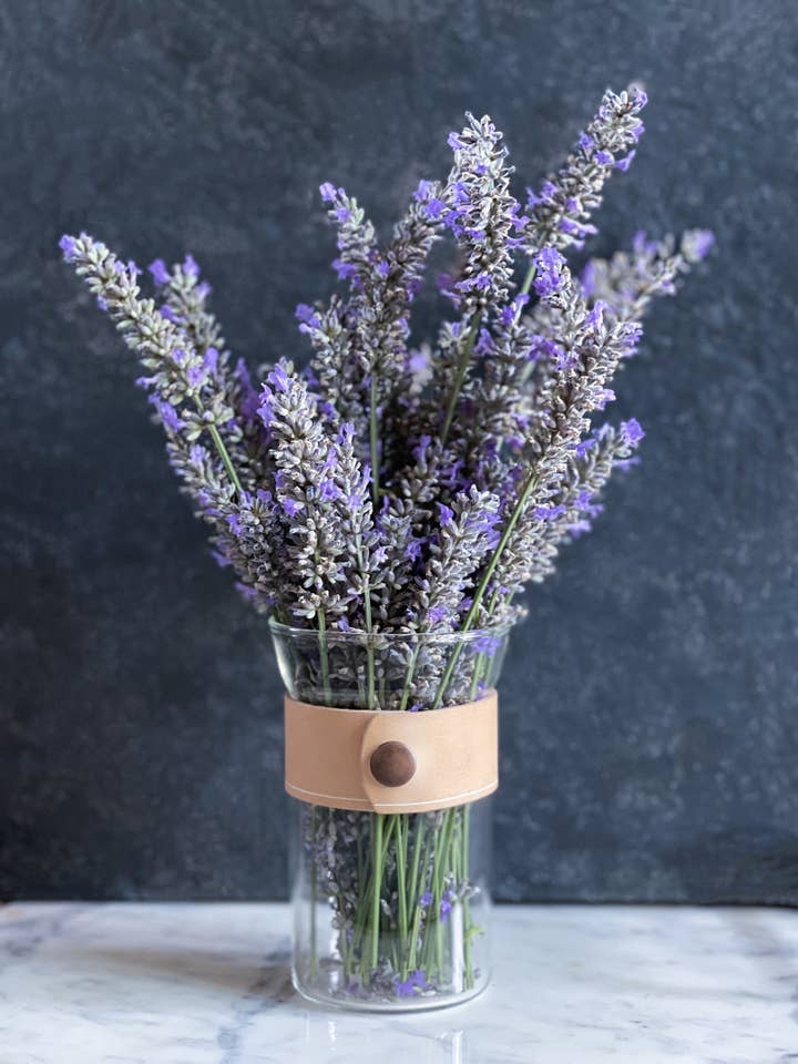 Jarra embrulhada em Pele 5" por atacado de Studio Findings