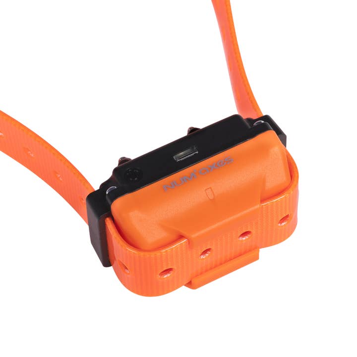 NUM'AXES – Großhandel Haustierpfeife – Hund – CANICOM-R 500 wiederaufladbares Hundetrainingsset