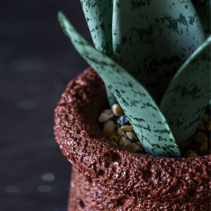 Abigail Ahern – wholesale Artificial plant – ARTIFICIAL SNAKE PLANT