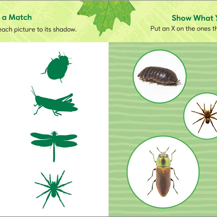 Sourcebooks - Wholesale Nature & Outdoors - Backyard Bug Book for Kids2
