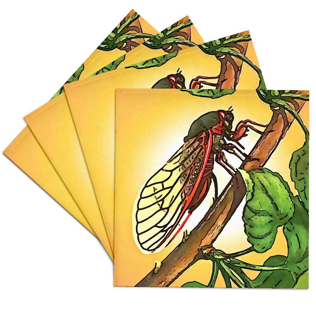 3dRose - Wholesale Coasters - 3dRose, Cicada Insect Black Outline Art, Coaster0