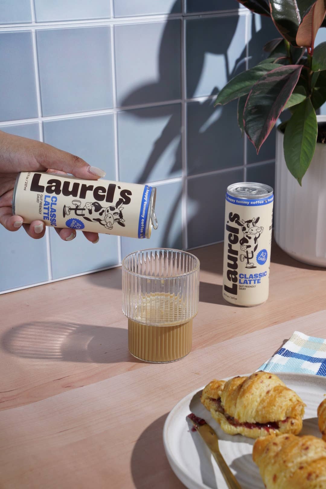 Laurel's Coffee - Vendita all'ingrosso Caffè freddo - Latte Classico (8oz x 12pz)1