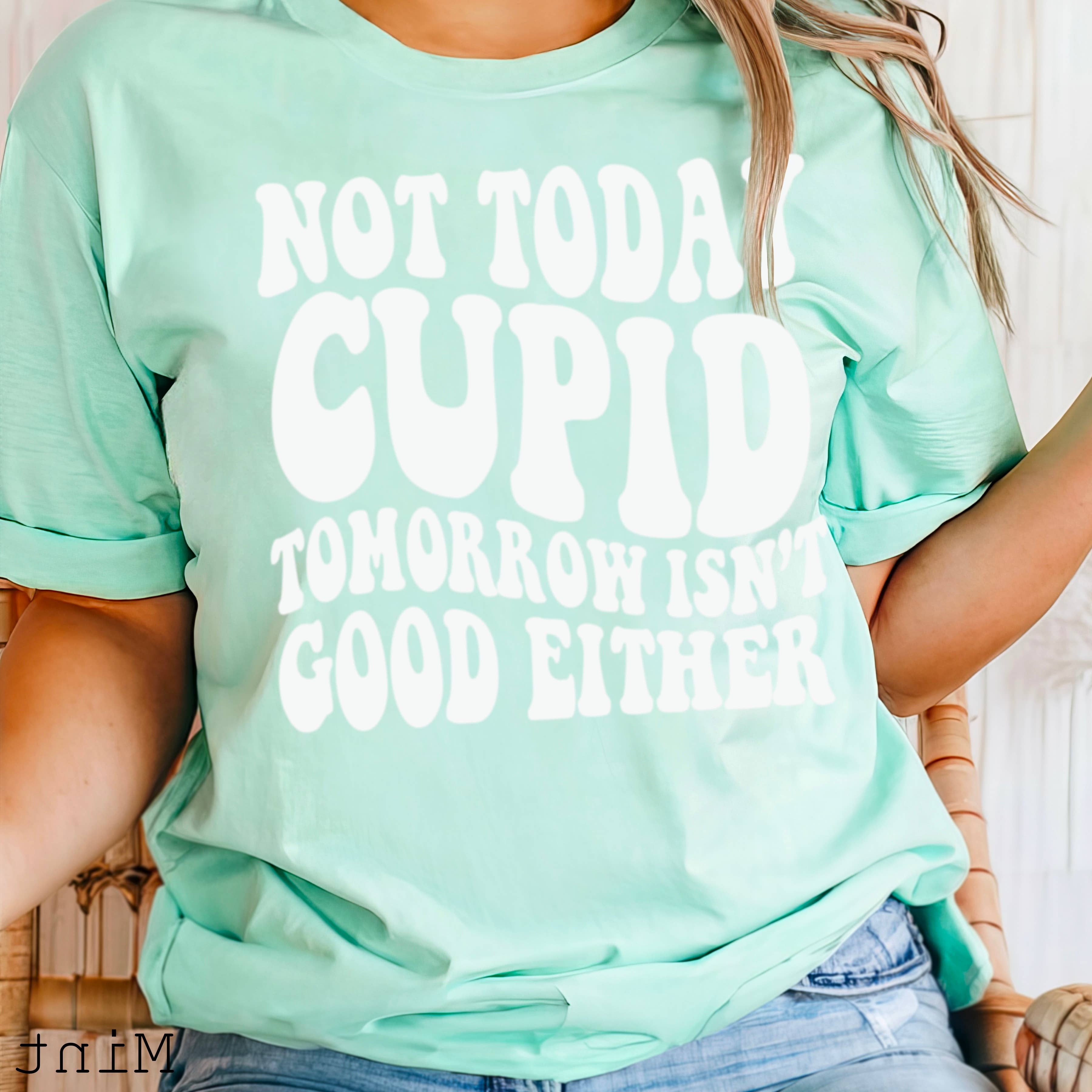 Shoppe SHC - Wholesale Screen Printed T-Shirt - Women's - Not Today Cupid Valentine's Day Graphic Tee | Bella Canvas 13