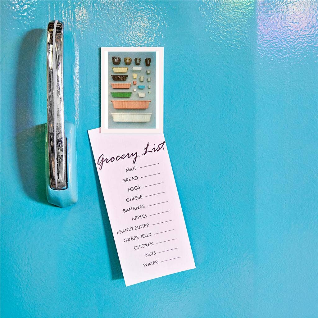 Found Image Press - Venta al por mayor Imanes - Selección de contenedores de plástico para plantas Magnet AC-1601