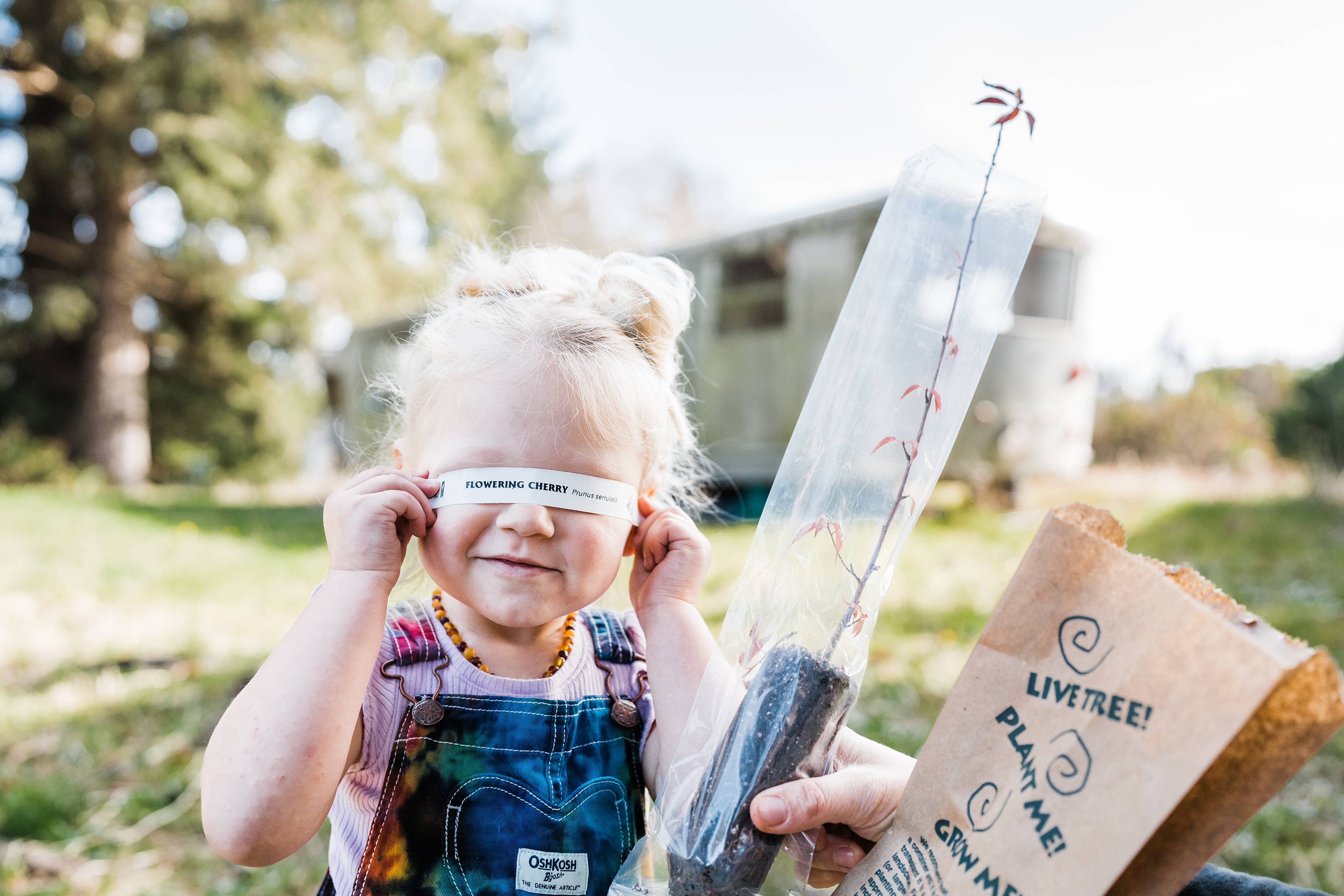 The Jonsteen Company - Vente Graines de plantes - Sacs Kraft Semis22