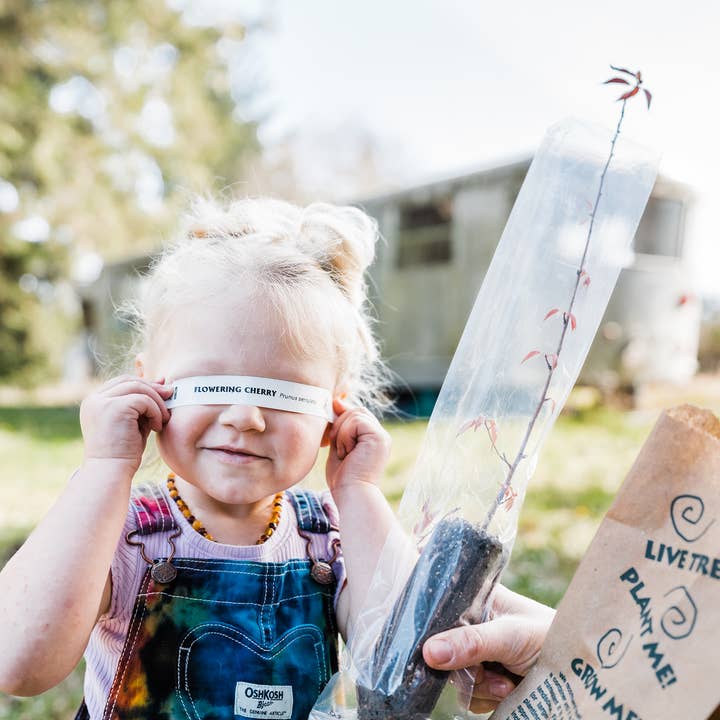 The Jonsteen Company - Wholesale Plant Seeds - Kraft Bag Seedlings9