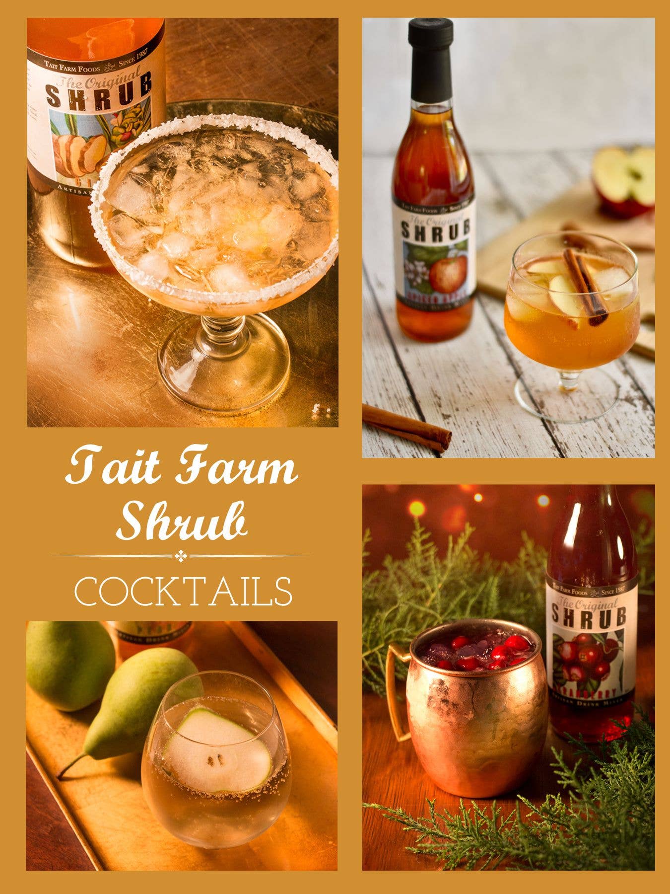 Tait Farm Foods - Vente Mélange/sirop pour cocktails - Gingembre Arbuste8