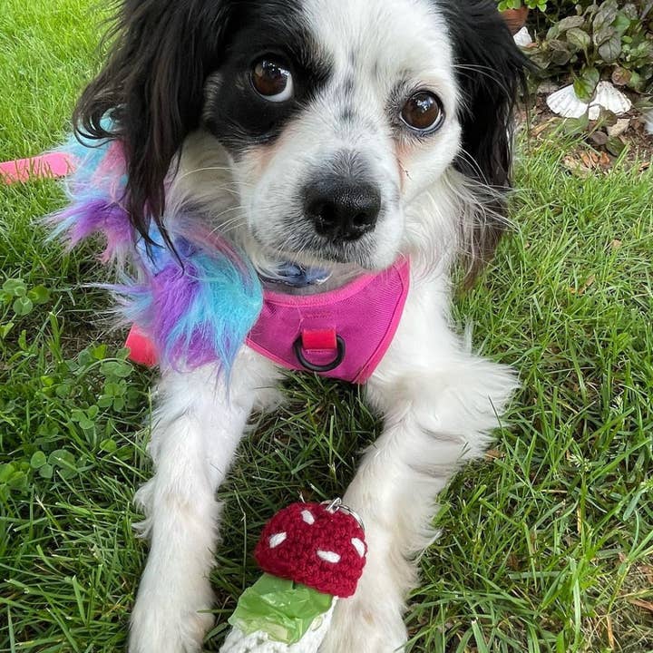 The Cozy Tangerine - Wholesale Keychain – Women's - Mushroom Keychain | Crochet Lighter & Chapstick Holder25