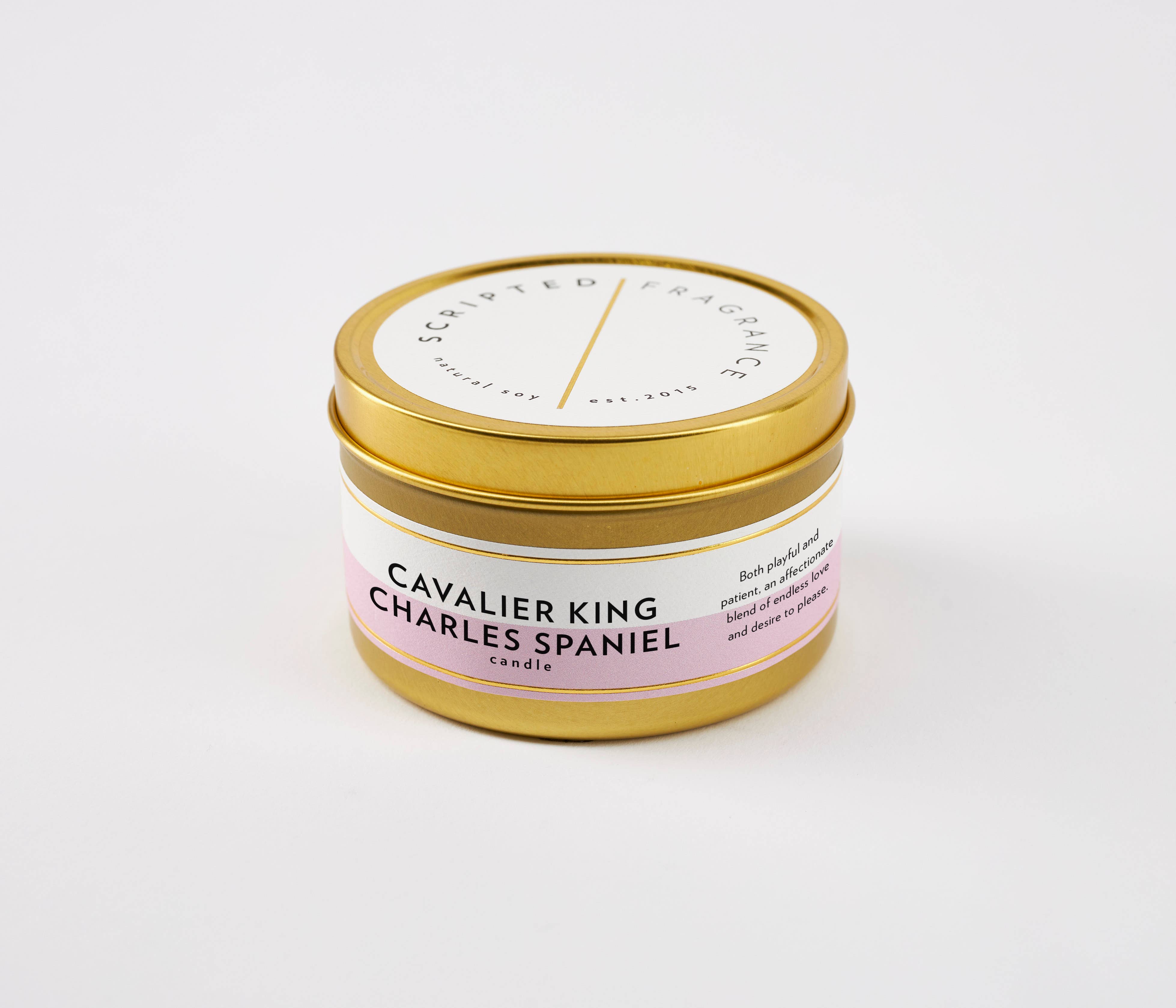 Scripted Fragrance - Wholesale Jar/Filled Candle - Cavalier King Charles Spaniel Dog Breed Soy Candle2