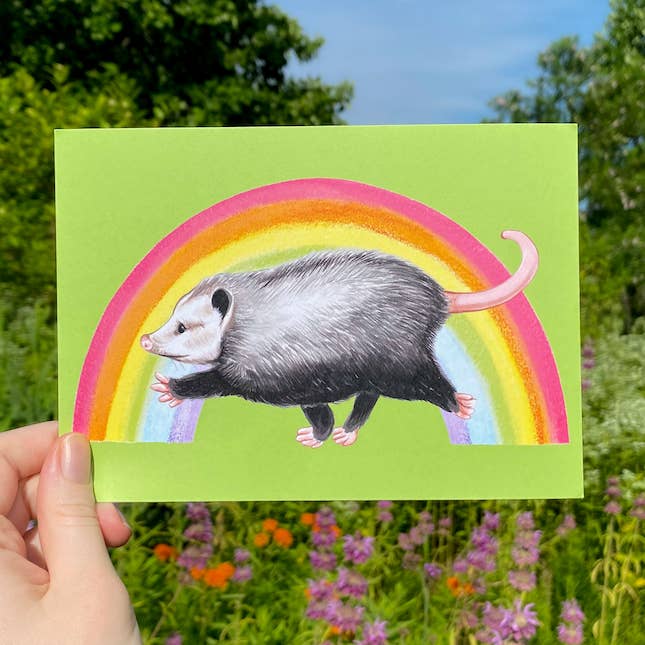 Impresión de Arte del Orgullo de Rainbow Raz el Zarigüeya (5"x7") para venta al por mayor de Allison Stoiser Art