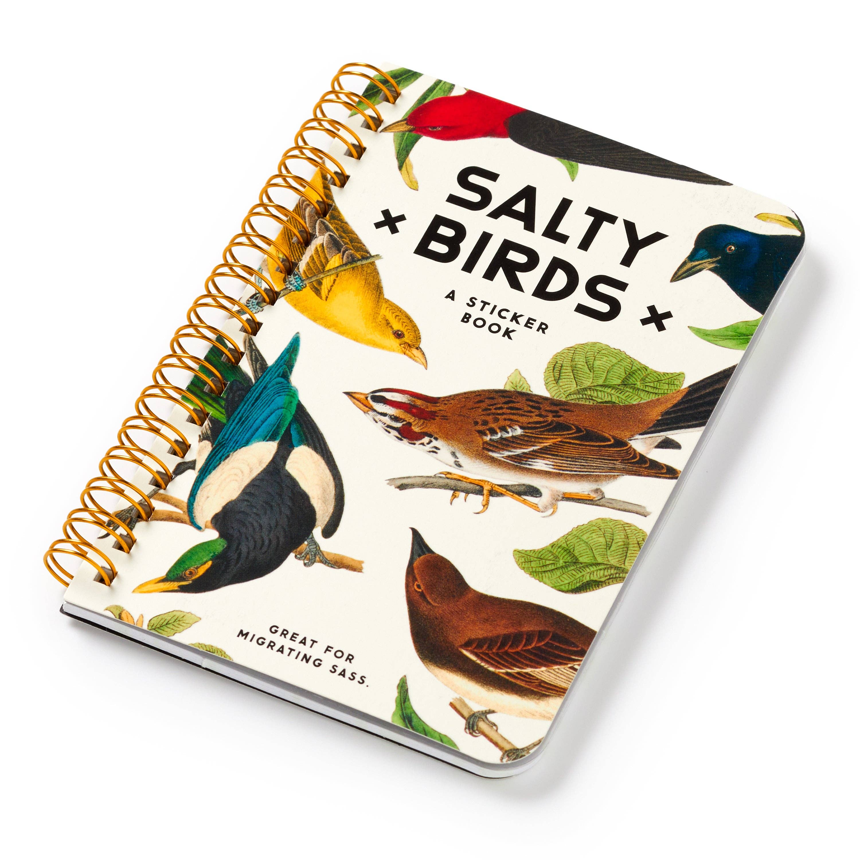 Abrams & Chronicle Books – wholesale Sticker – Salty Birds Sticker Book (Sticker Book or Pack)1