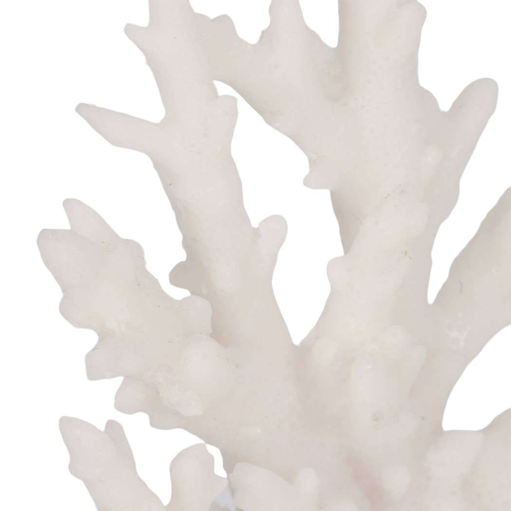 Sagebrook Home - Wholesale Bookend - Bookends Set of 2 - White Resin Coral on Glass, 7 in.8