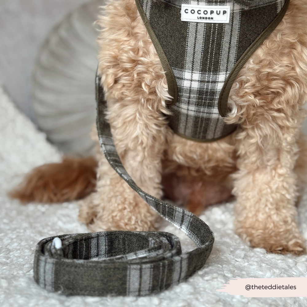 Cocopup London – wholesale Pet harness – Dog – Olive Check Adjustable Neck HARNESS22