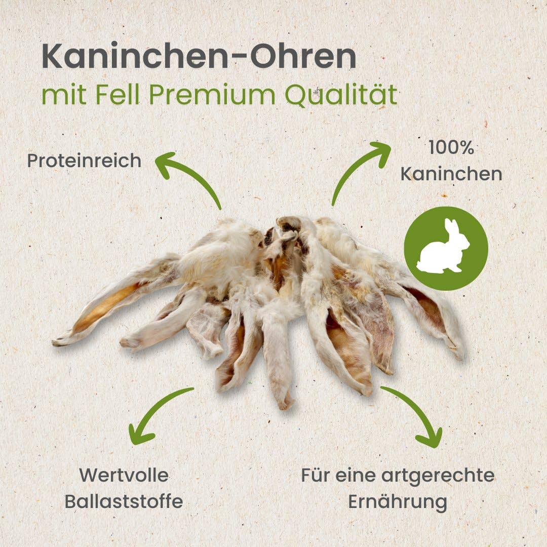Kauartikel.com GmbH - Wholesale Pet Bone/Rawhide - Dog - Rabbit ears with fur premium quality3