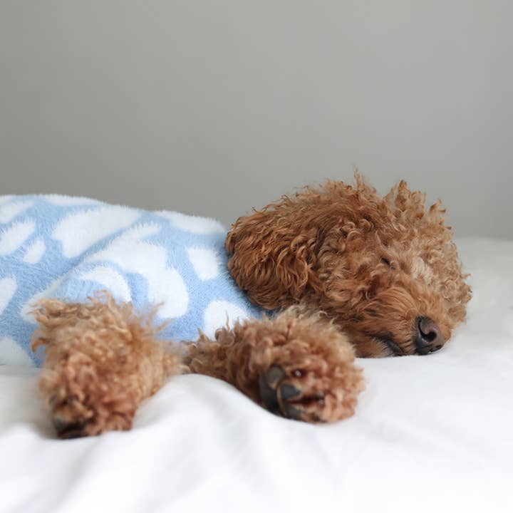 Pups & Bubs - Wholesale Pet Sweater - Dog - Cloud Soft Cloud Sweater | Pet Sweater for Dogs & Cats3