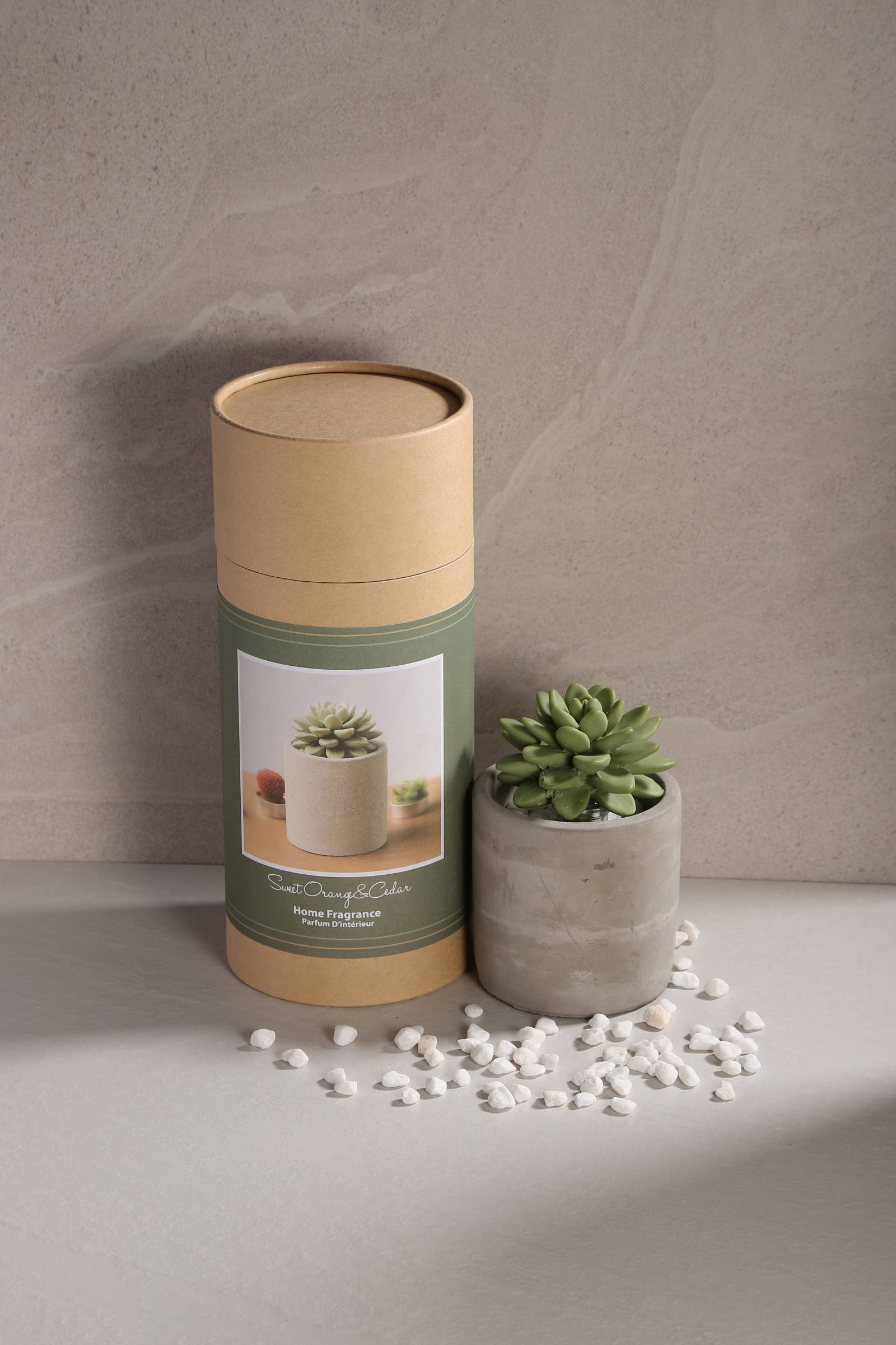 Pretty Valley Home - Wholesale Diffuser Fragrance Refill - Succulent in Planter Diffuser Gift Set for Home Decor3