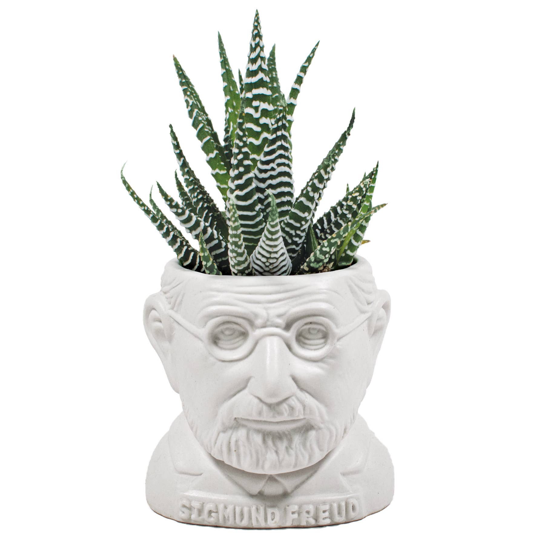Unemployed Philosophers Guild - Wholesale Plant Pot - Sigmund Freud Planter1