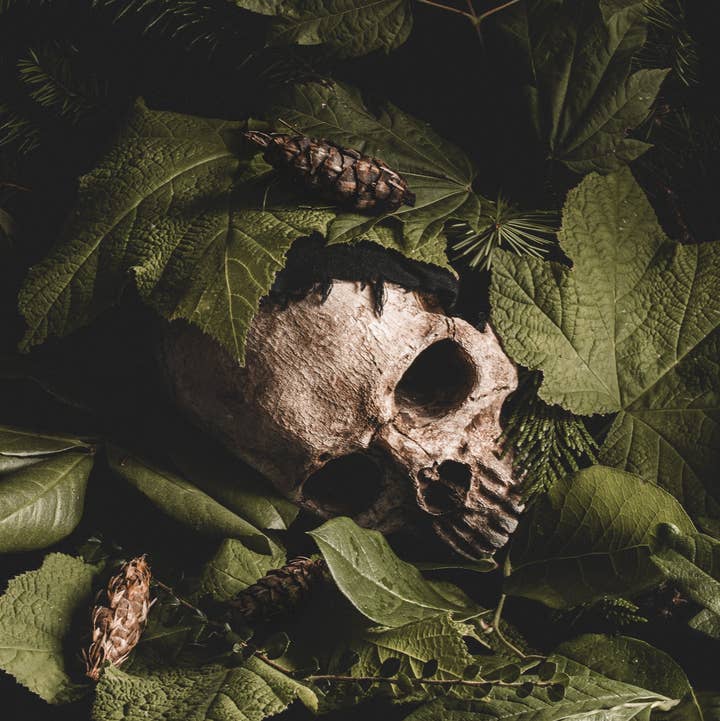 Alyssa Thorne - Wholesale Art Print - Verdant Repose | Dark Forest Vanitas Still Life