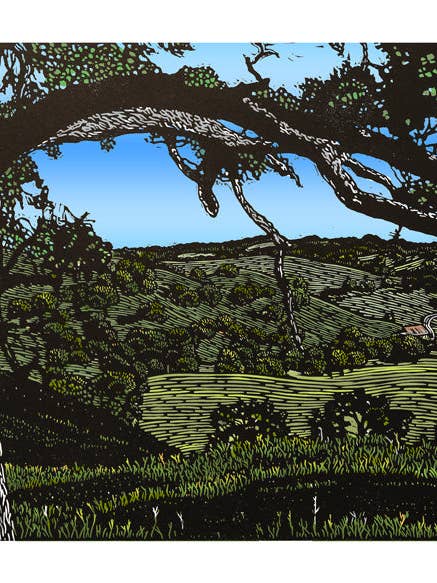 "Amador Hills" Print for wholesale by 3 Fish Studios