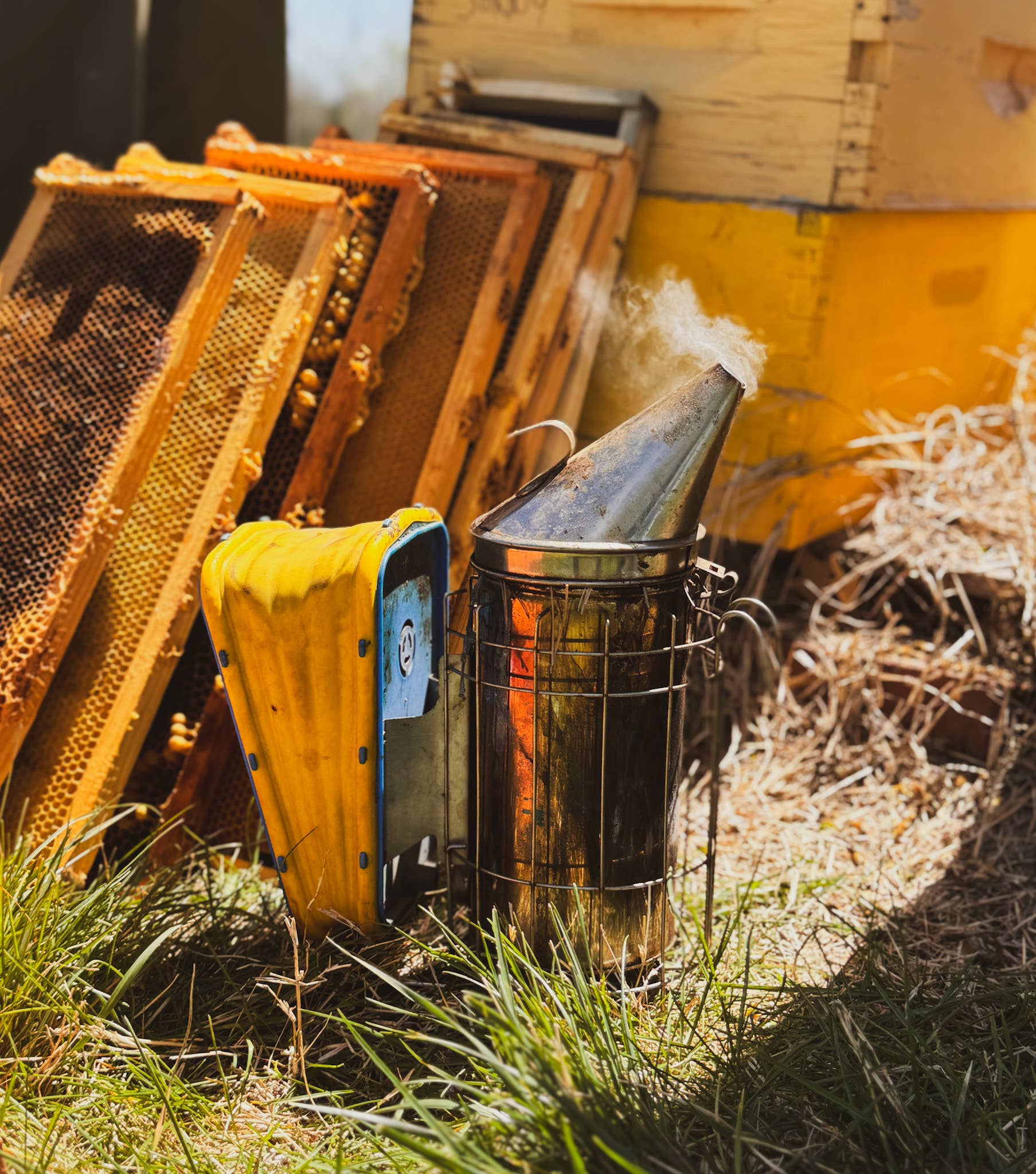 Messner Bee Farm - Wholesale Hand & Body Lotion - Plain and Simple - Milk and Honey Lotion - 2oz Travel3