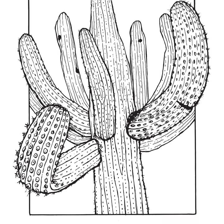 Cacti Oasis© - Wholesale Art Print - Saguaro Screen Print | Limited Edition | 22" x 30"1