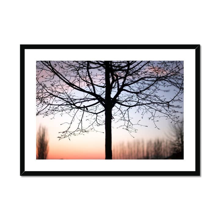 Lost Gathering - Framed & Mounted Print for wholesale by Jay Bower