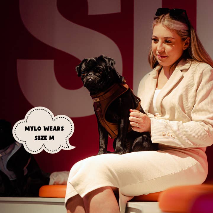 Cocopup London - Vente Harnais – chien - Harnais de cou ajustable NAKD Brownie pour chien3