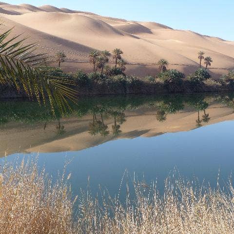 Tranquil Oasis for wholesale by Purely Cosmic