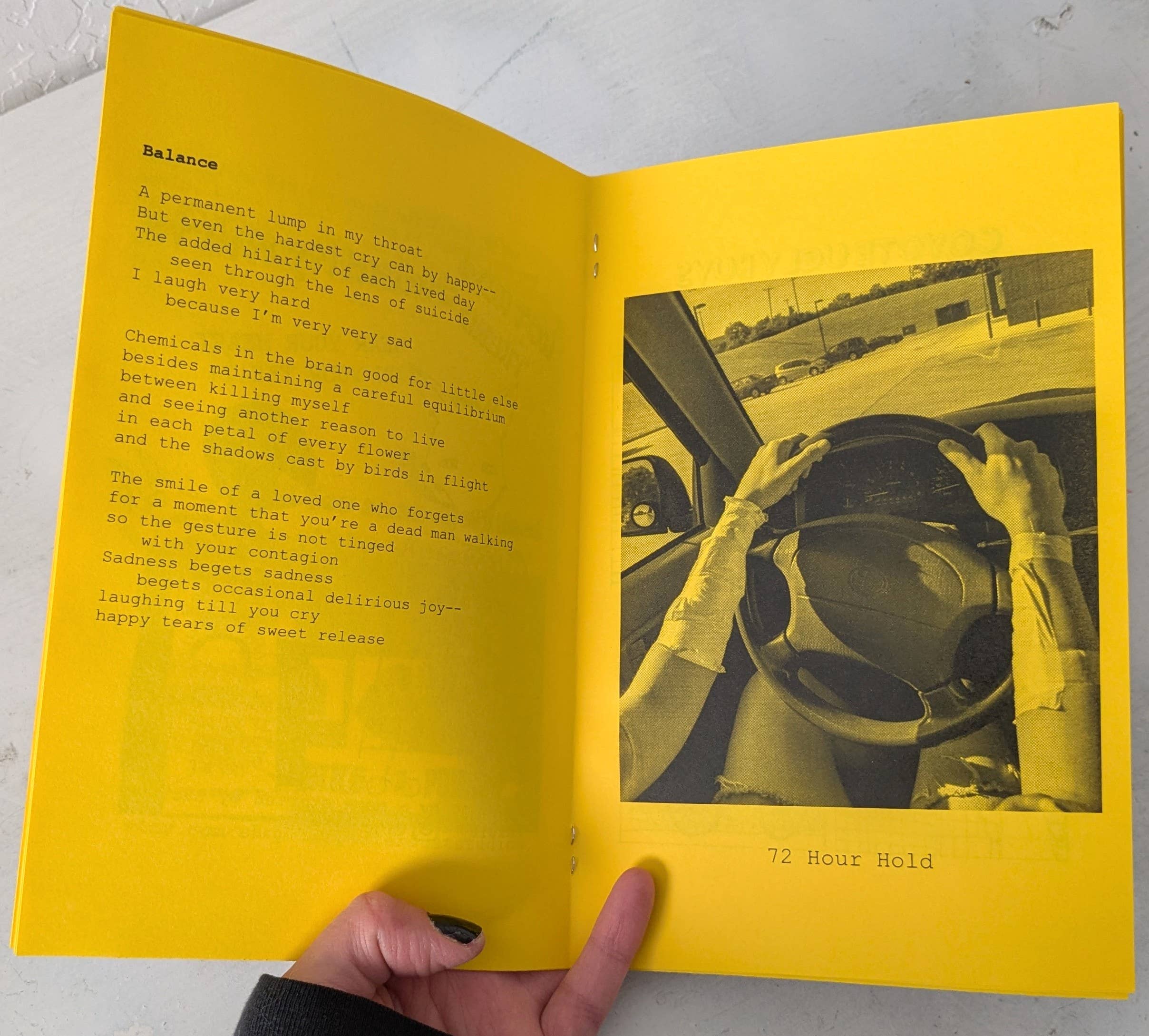 Zeppy Stardust Studios - Wholesale Comic Book - How Did This Happen??? Zine Vol 1 how do i make it stop???3