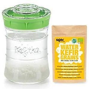 2tech Ltd - Wholesale DIY Food Kit - Kefirko Water KEFIR Kit 848ml with Organic Grains