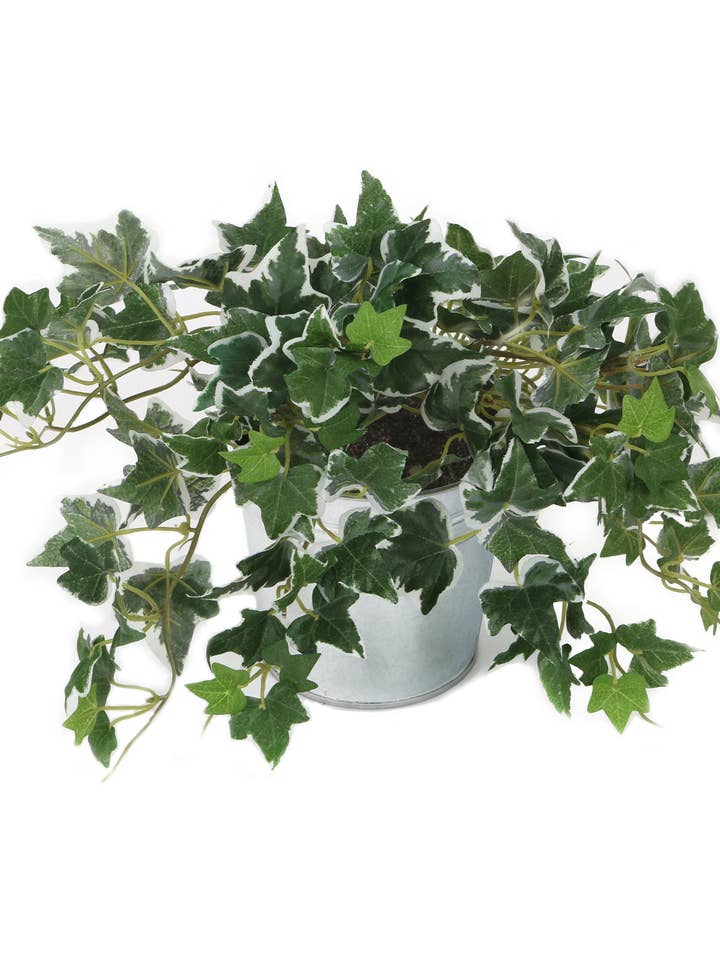 Artificial 25cm Variegated Ivy Plug Plant for wholesale by Closer2Nature