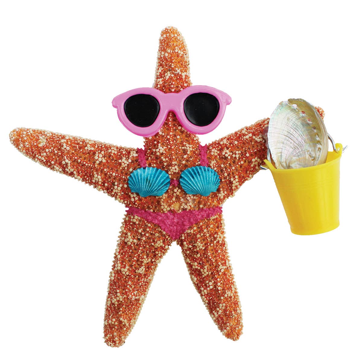 California Seashell Company - Wholesale Magnet - Beach Girl Bucket Sugar Starfish Magnet0