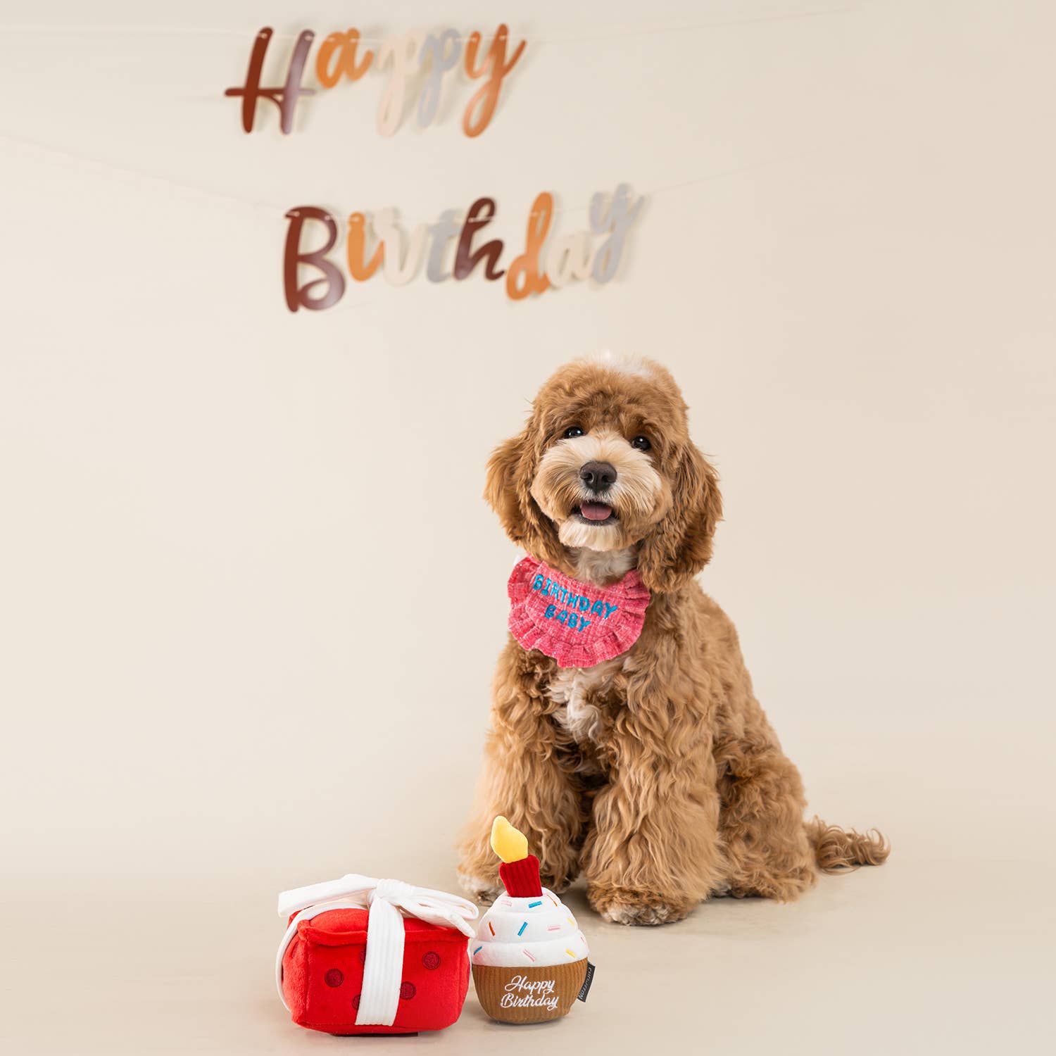 CHEWFFON – wholesale Pet toy – Dog – CHEWFFON Gift Box Dog Toy Crinkle, Squeak & Treat Puzzle5