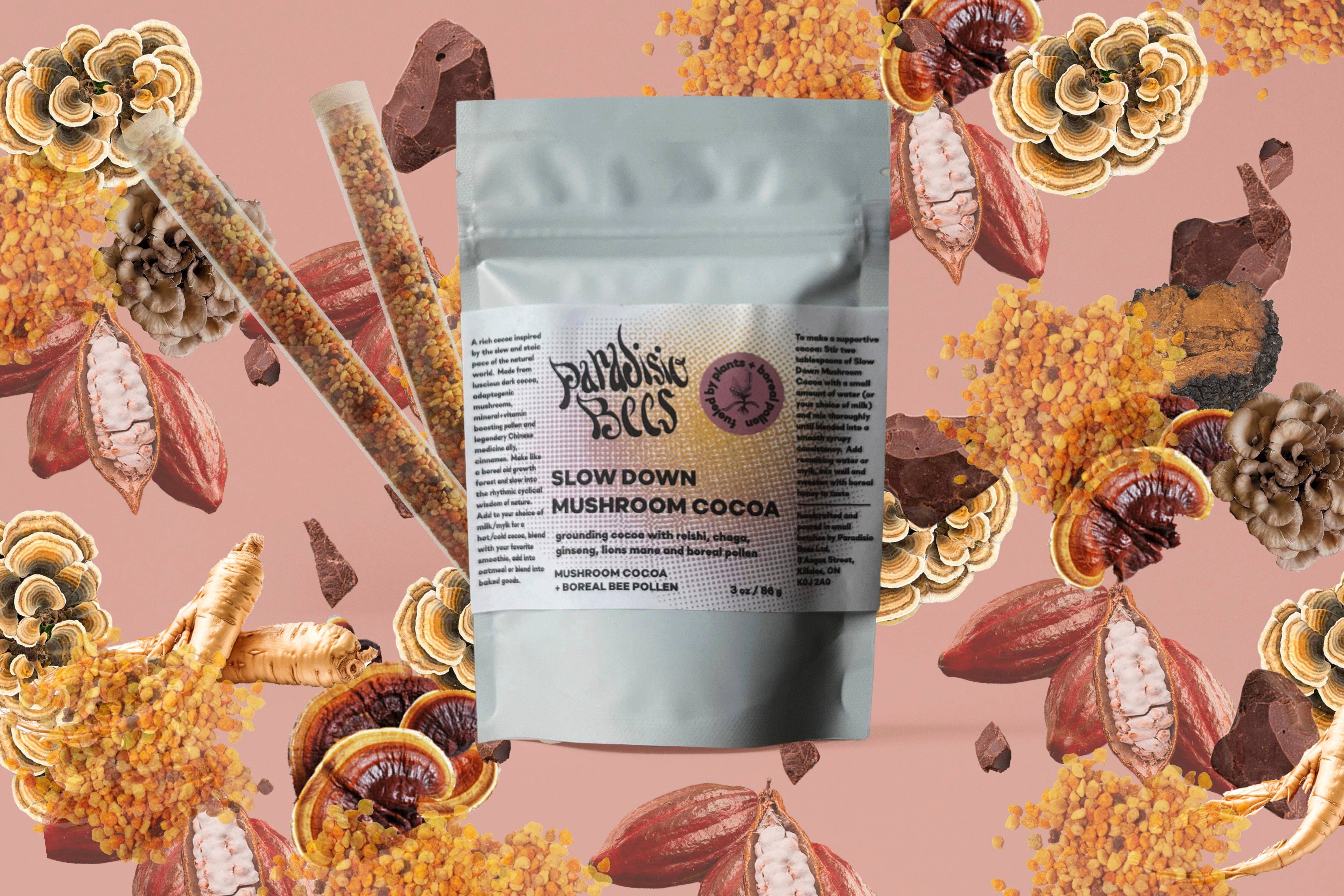 Paradisio Bees - Wholesale Hot Cocoa Mix/Kit - SLOW DOWN MUSHROOM COCOA1