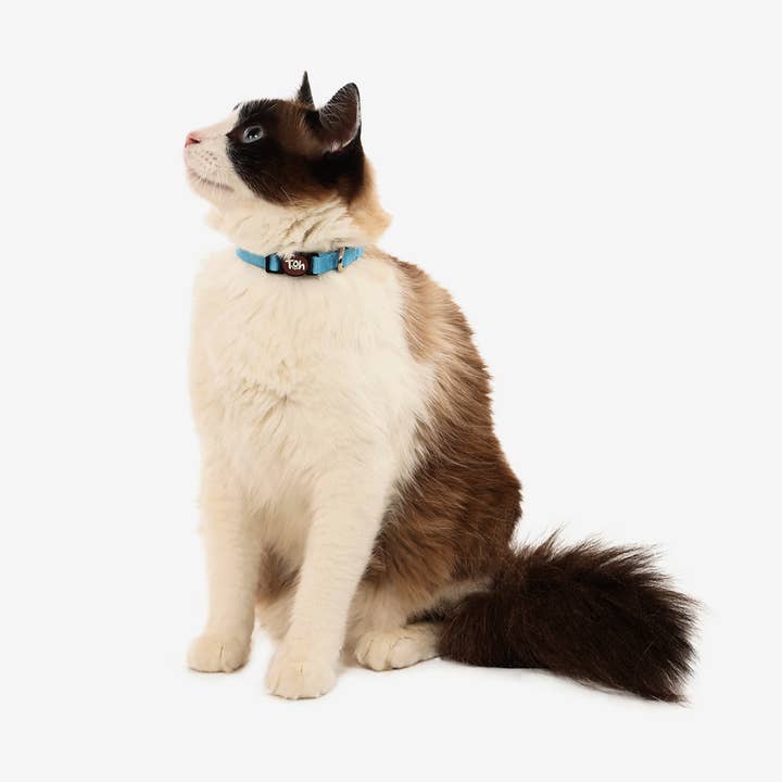 Toh - Wholesale Pet Collar - Cat - Coleira de Gato Azul1