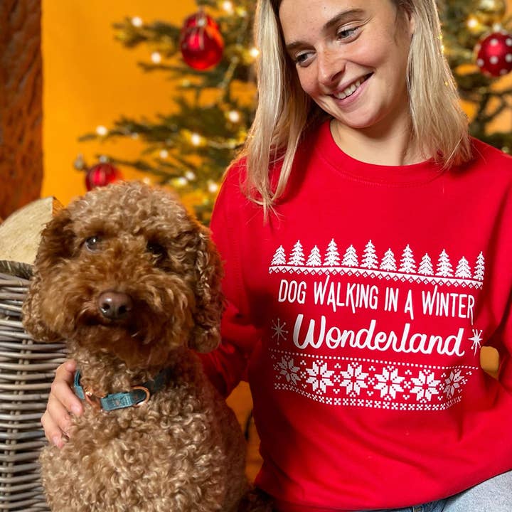 Pull de Noël Walking in a Winter Wonderland pour la vente par Syd&Co