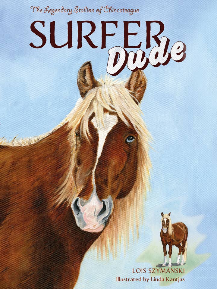 Surfista Dude para venta al por mayor de Schiffer Kids