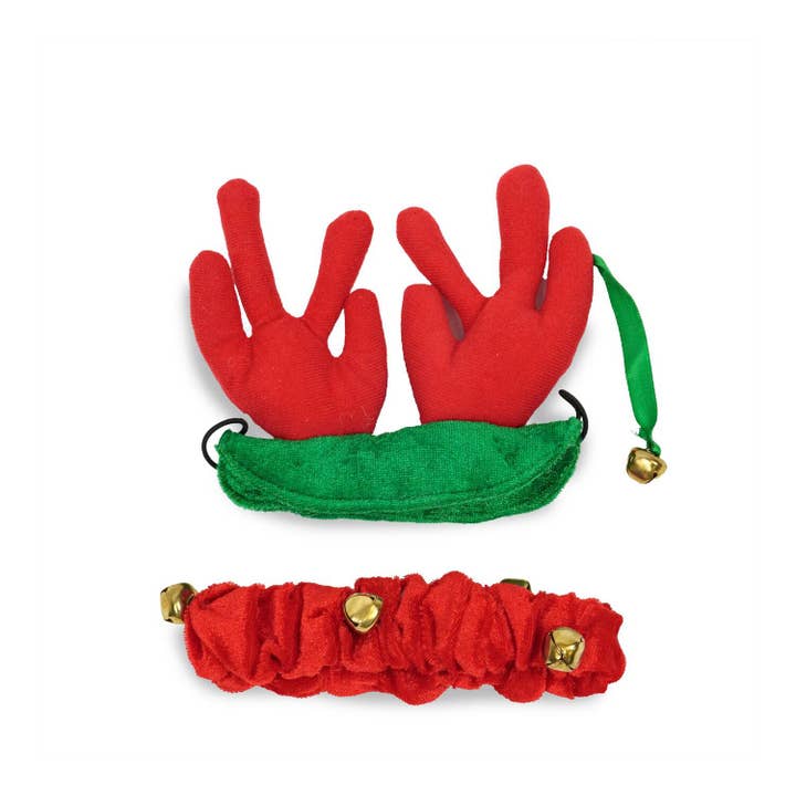Dollar Paw - Vente Collier – chien - Accessoires pour colliers et bois de renne
