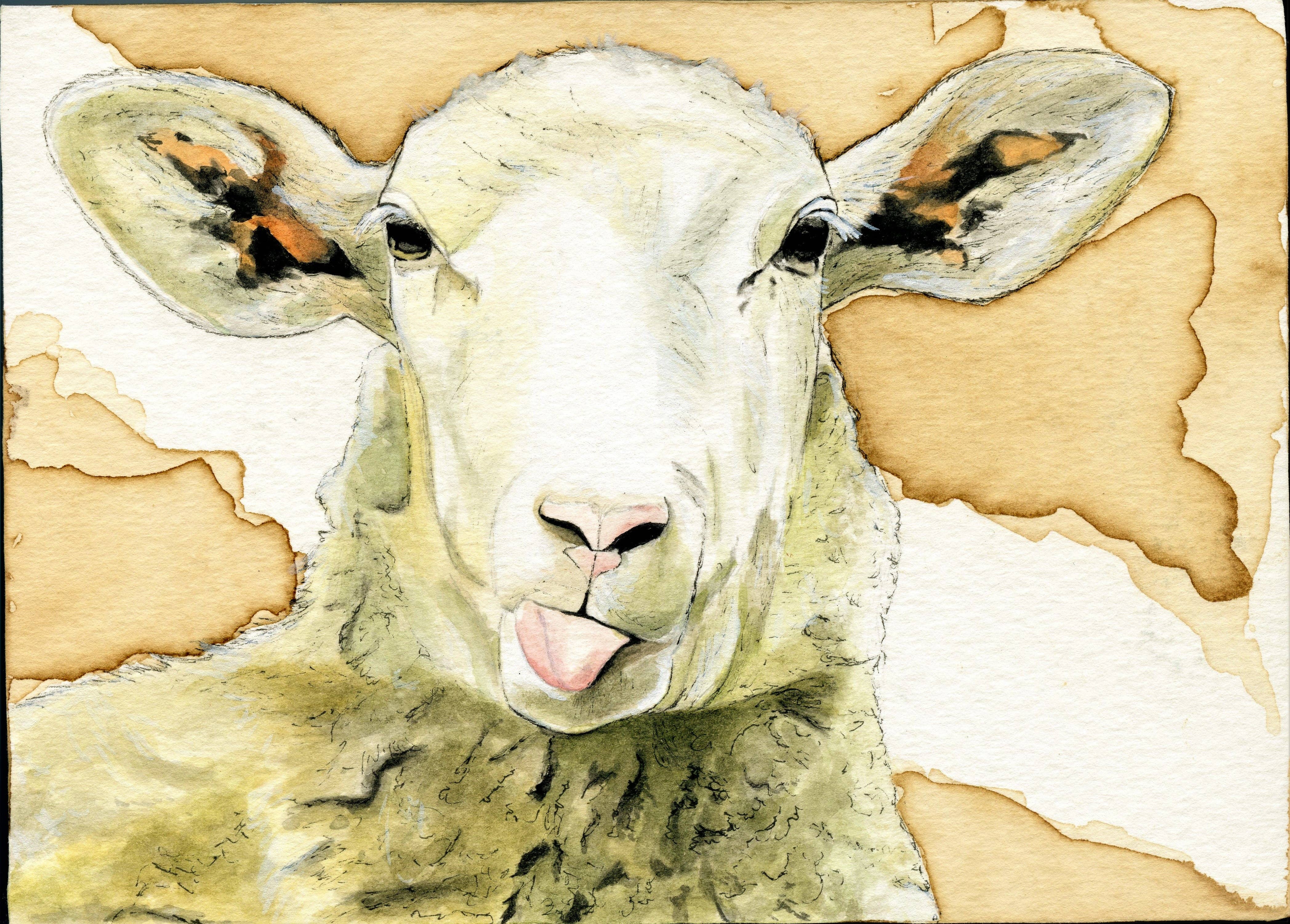 Forever Caroline LLC - Wholesale Stationery/Notecard Set - Farm Animal All-Occasion Single Cards OR Boxed Notecard Set5
