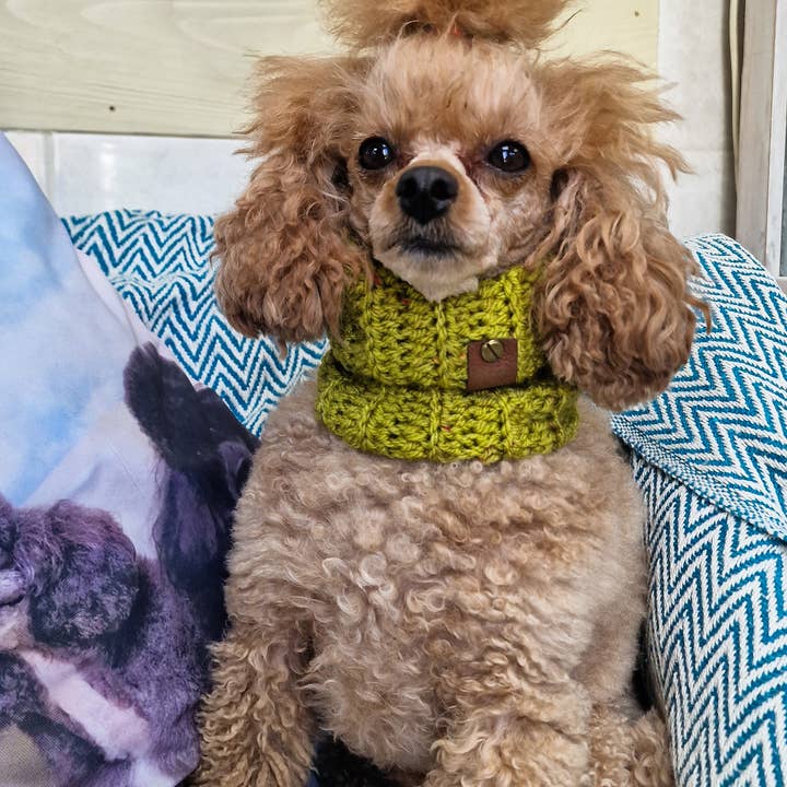 Pet Pooch Boutique - Wholesale Pet Snood - Dog - Maple Cookie Roll Top Dog Knitted Snood- UK made/autumn2