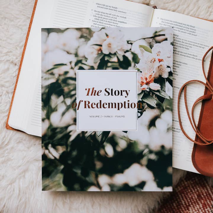 The Story of Redemption | Vol. 2 for wholesale by The Daily Grace Co