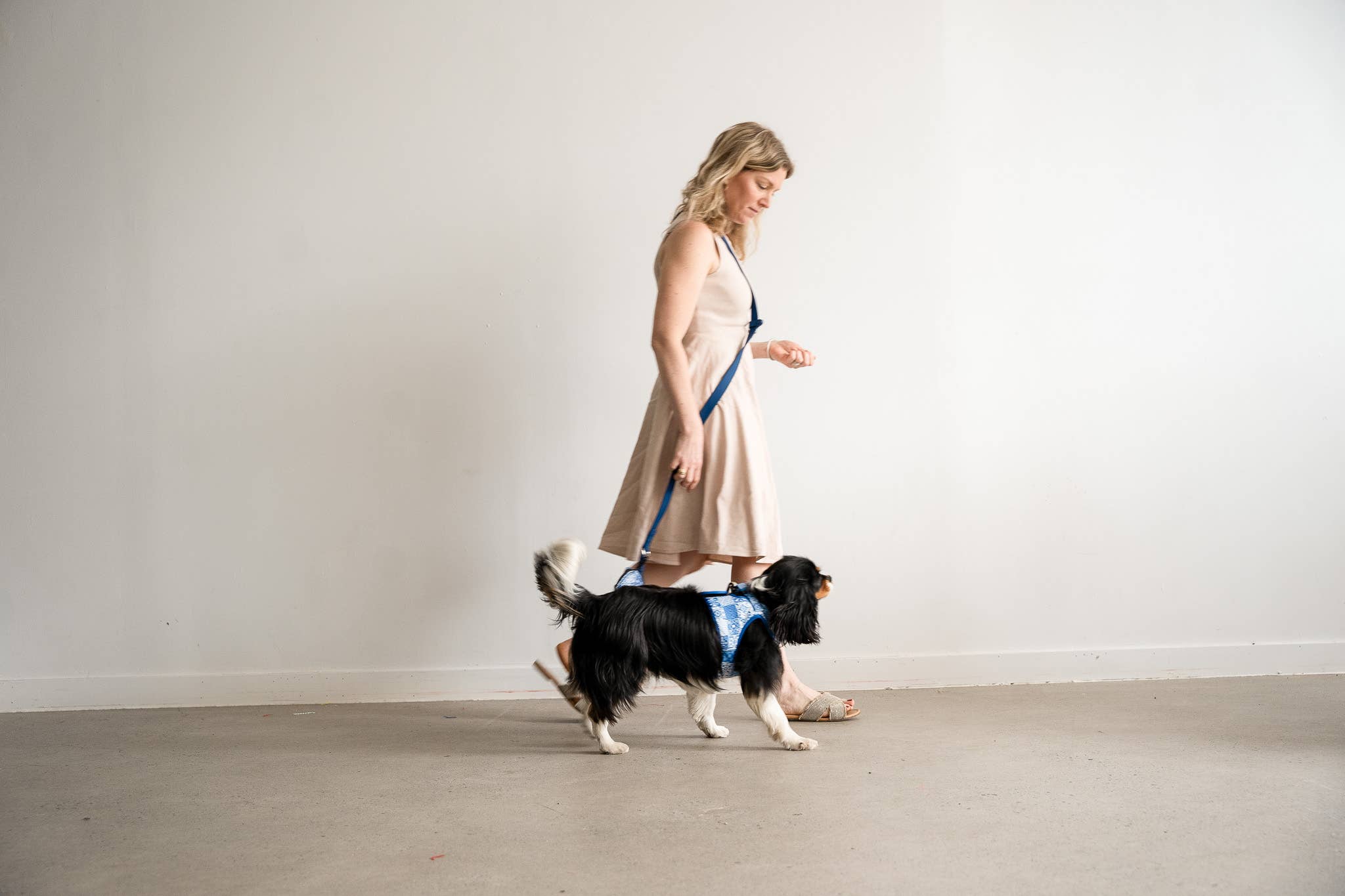 Cavology - Wholesale Pet Leash - Dog - DOG LEASH HANDS FREE MULTIWAY WEATHERPROOF PVC NAVY BLUE2