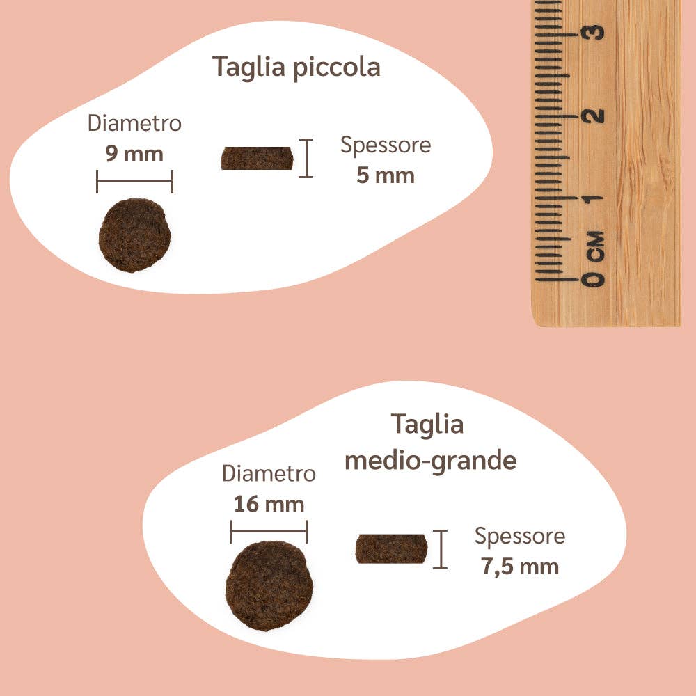 Pettech S.r.l. - Wholesale Pet Treats - Dog - Kibble with Fresh Pork, Potatoes, and Peas for Adults6