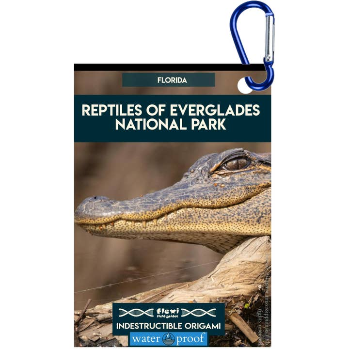 Reptiles of Everglades NP-Indestructible Origami for wholesale by Flexi Field Guides