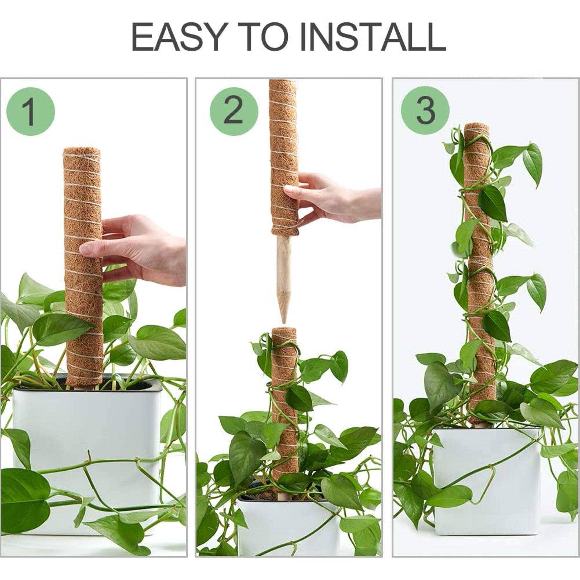 Bumble Plants - Wholesale Live Plant - Coco Coir Climbing Pole2