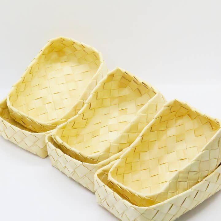 BULK 3"x2.5"x1" Palmenschale für den Großhandel von No Furries Delights