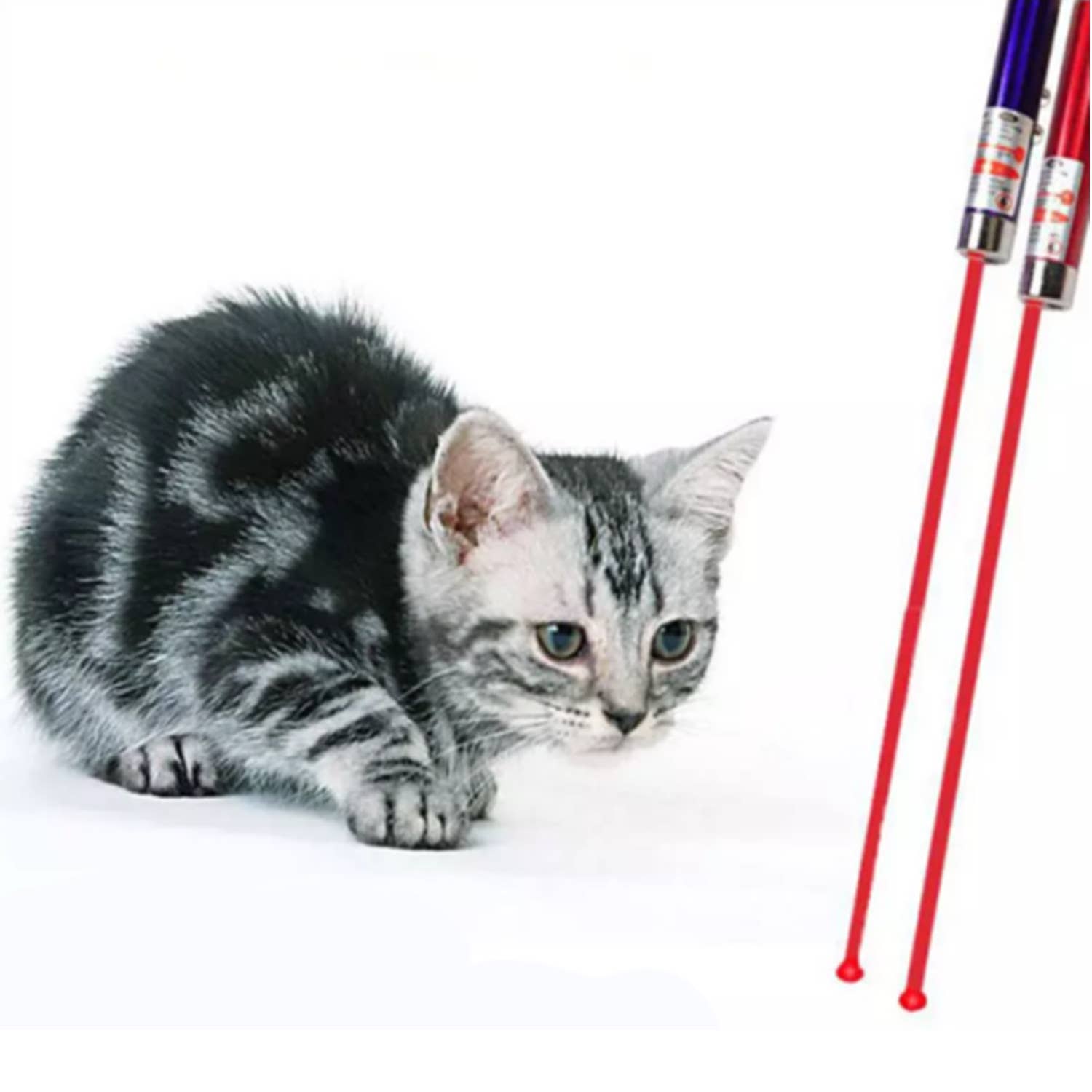 Tsyware - Wholesale Pet Toy - Cat - Assorted Laser Pointer Cat Toys for Indoor Pet Kitten Dogs 6