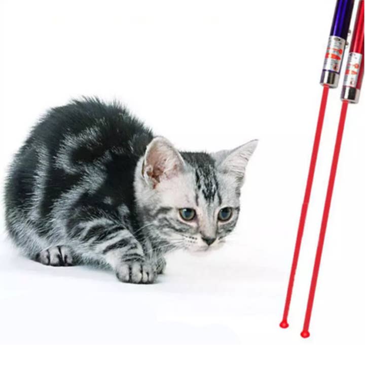 Tsyware - Wholesale Pet Toy - Cat - Assorted Laser Pointer Cat Toys for Indoor Pet Kitten Dogs 6